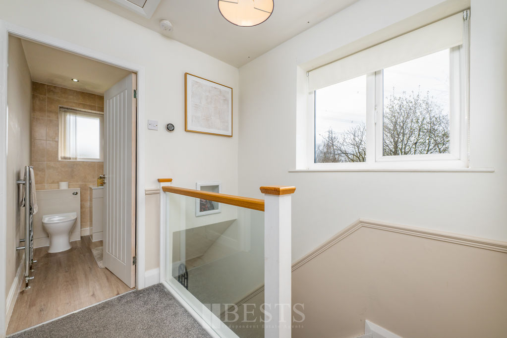 Paddock Rise Beechwood